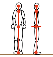 posture-align_klein